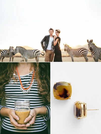 Color Palette: Zebra + Topaz thumbnail