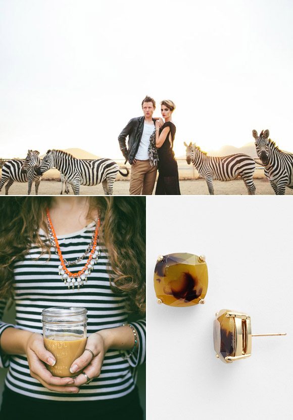 Topaz and Zebra Color Palette | The Sweetest Occasion