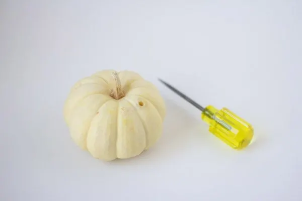 DIY Mini Pumpkin Centerpieces