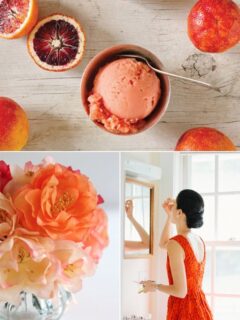 Color Palette: Blood Orange and Persimmon