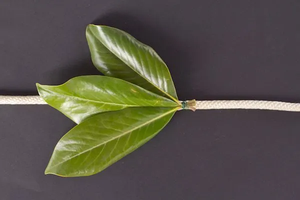 DIY Magnolia Leaf Garland