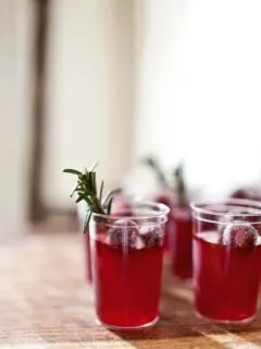 Mix It Up: Cranberry Cocktails
