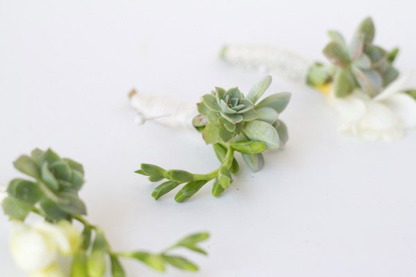 DIY Succulent Boutonniere