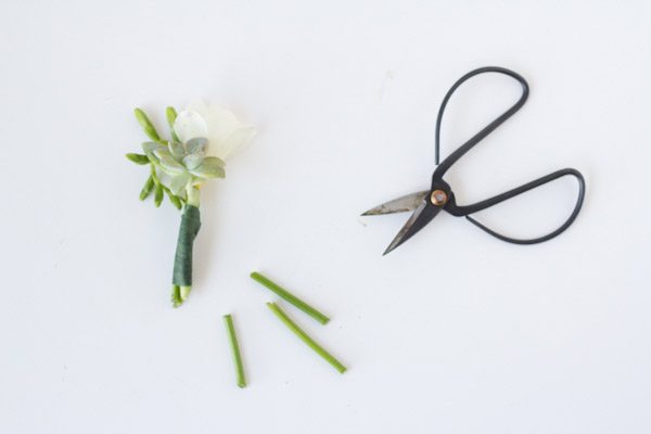 DIY Succulent Boutonniere