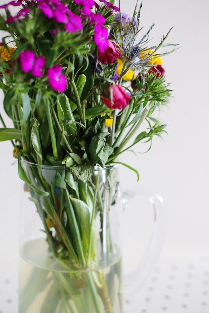 Tips + Tricks How to Keep Flowers Fresh The Sweetest Occasion