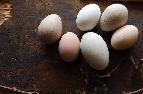 DIY Natural Dyed Easter Eggs