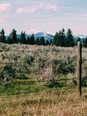 Glamping in Montana | The Sweetest Occasion