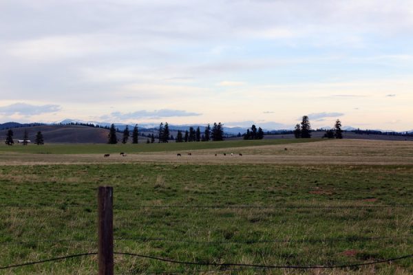 Glamping in Montana