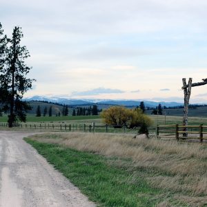 That Time I Went Glamping in Montana (Part II) thumbnail