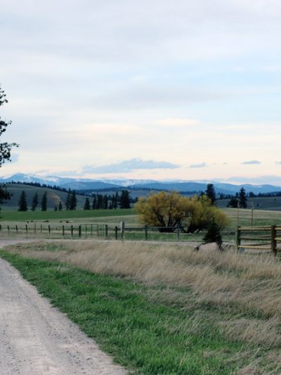 That Time I Went Glamping in Montana (Part II) thumbnail