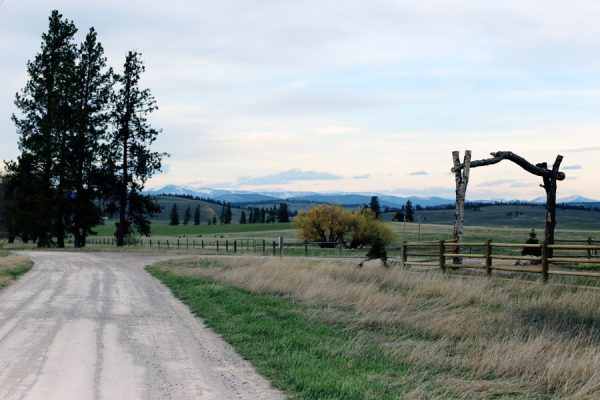 Glamping in Montana