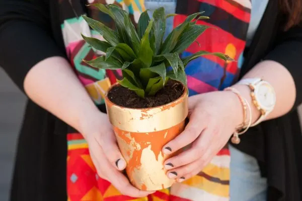 DIY Gold Leaf Planters by @cydconverse