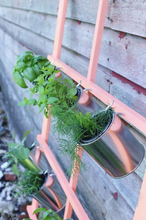 DIY Trellis Herb Garden by @cydconverse for @valsparpaint