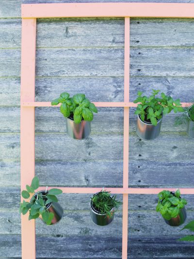 DIY Trellis Herb Garden thumbnail