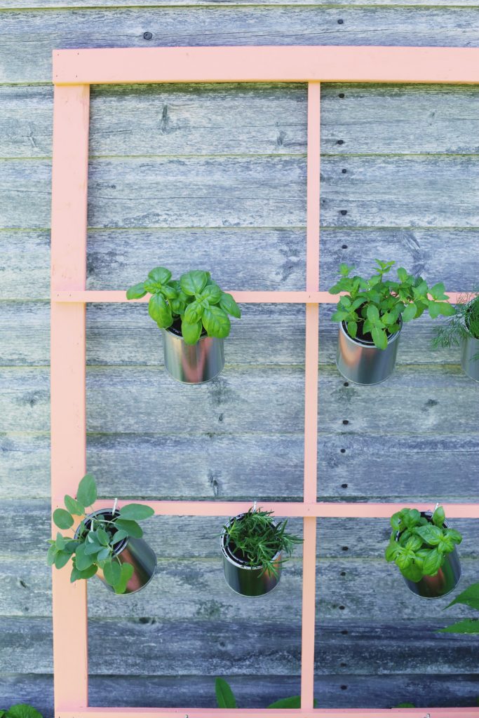 DIY Trellis Herb Garden by @cydconverse for @valsparpaint