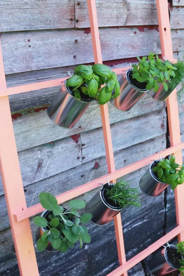 DIY Trellis Herb Garden by @cydconverse for @valsparpaint