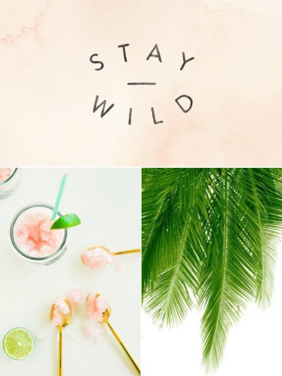 Color Palette: Granita + Palm Tree thumbnail