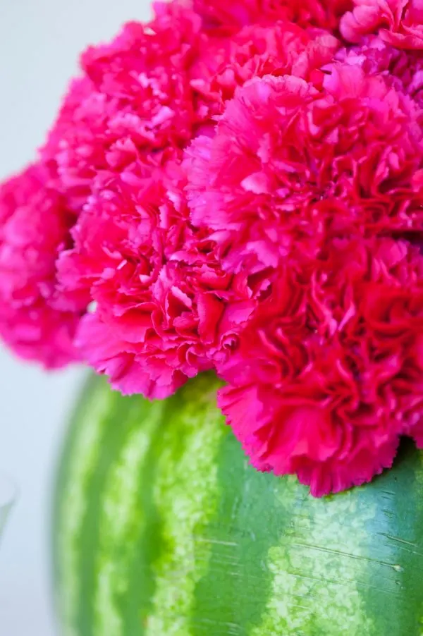 DIY Watermelon Flower Centerpiece by @cydconverse