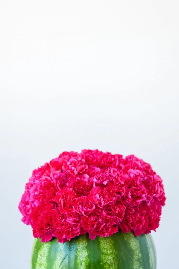 DIY Watermelon Flower Centerpiece by @cydconverse