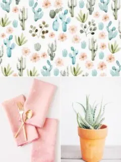 Color Palette: Cactus Flower and Agave by @cydconverse