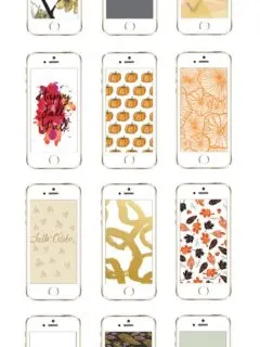 12 Awesome iPhone Wallpaper Designs for Fall from @cydconverse