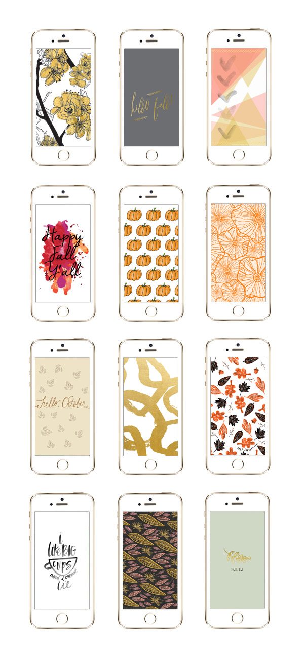 12 Awesome Iphone Wallpaper Designs For Fall The Sweetest Occasion - Fall Leaf Iphone Wallpaper