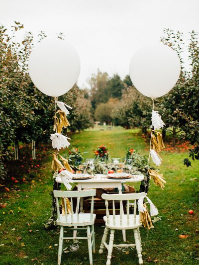 An Apple Farm Picnic thumbnail