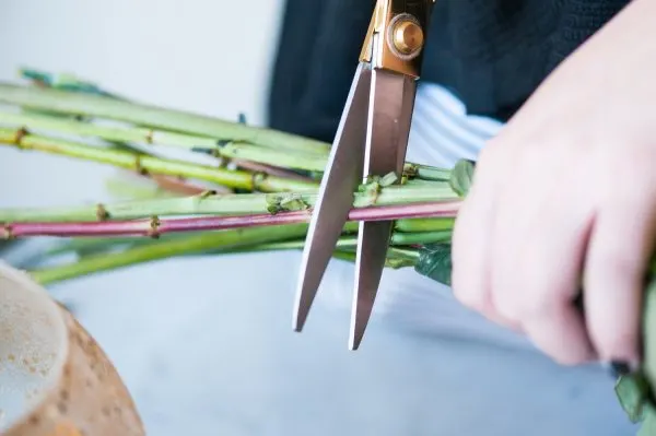 DIY Christmas Centerpiece by @cydconverse