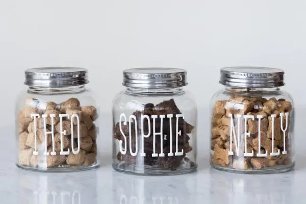 DIY Dog Treat Jars by @dailydogtag for @cydconverse