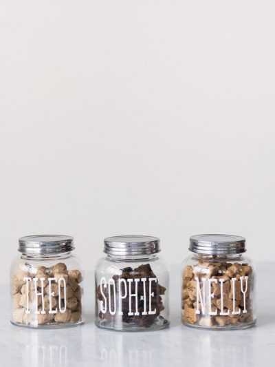DIY Dog Treat Jars thumbnail