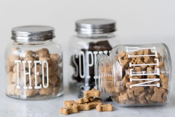 DIY Dog Treat Jars by @dailydogtag for @cydconverse