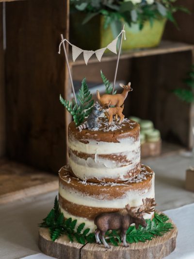 A Whimsical Woodland Baby Shower thumbnail