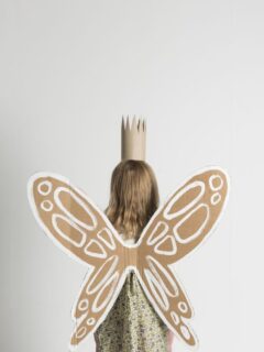 DIY Cardboard Fairy Wings