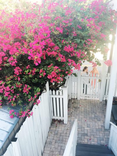 A Weekend in Key West thumbnail