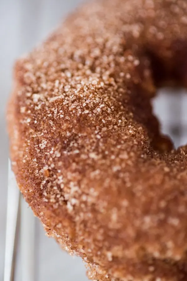 Pumpkin Spice Vegan Donuts with Cinnamon Sugar | Entertaining tips, party ideas, recipes, cocktail recipes and more from @cydconverse