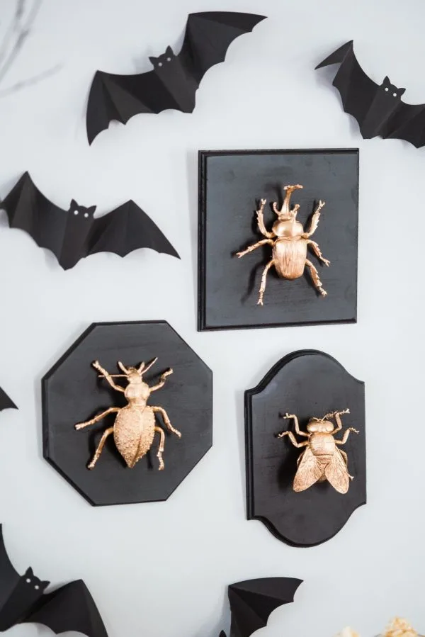 DIY Taxidermy Plaques | Halloween ideas, Halloween decorations and Halloween party ideas from @cydconverse