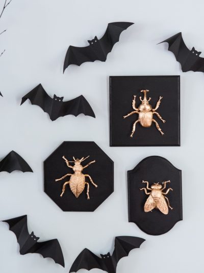 DIY Golden Insect Taxidermy Plaques thumbnail