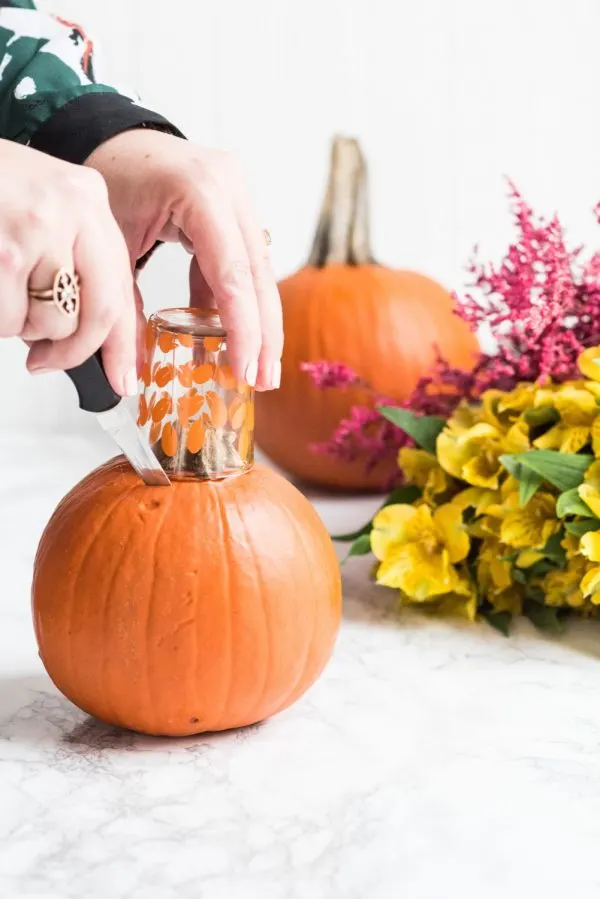 DIY Pumpkin Flower Arrangements | Thanksgiving ideas, Thanksgiving crafts, Thanksgiving table ideas and more DIY projects from @cydconverse