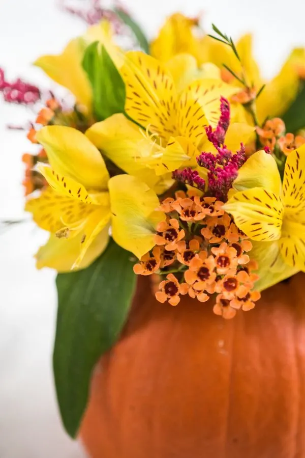 DIY Pumpkin Flower Arrangements | Thanksgiving ideas, Thanksgiving crafts, Thanksgiving table ideas and more DIY projects from @cydconverse