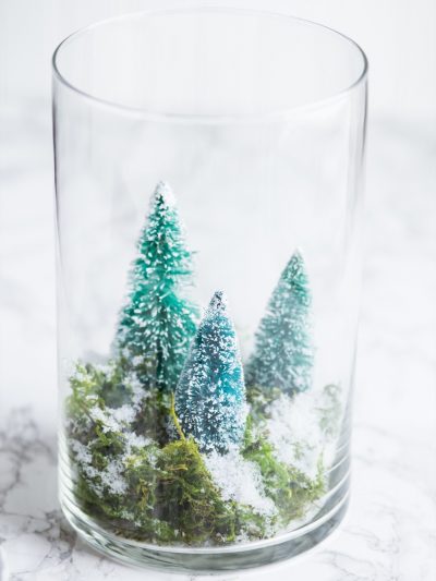 DIY Terrarium Winter Scene thumbnail