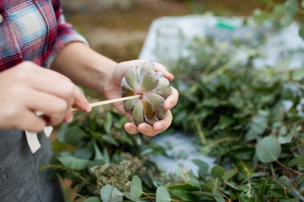 DIY Eucalyptus + Pine Wreath | Homemade Christmas wreath, Christmas DIY ideas and more from @cydconverse