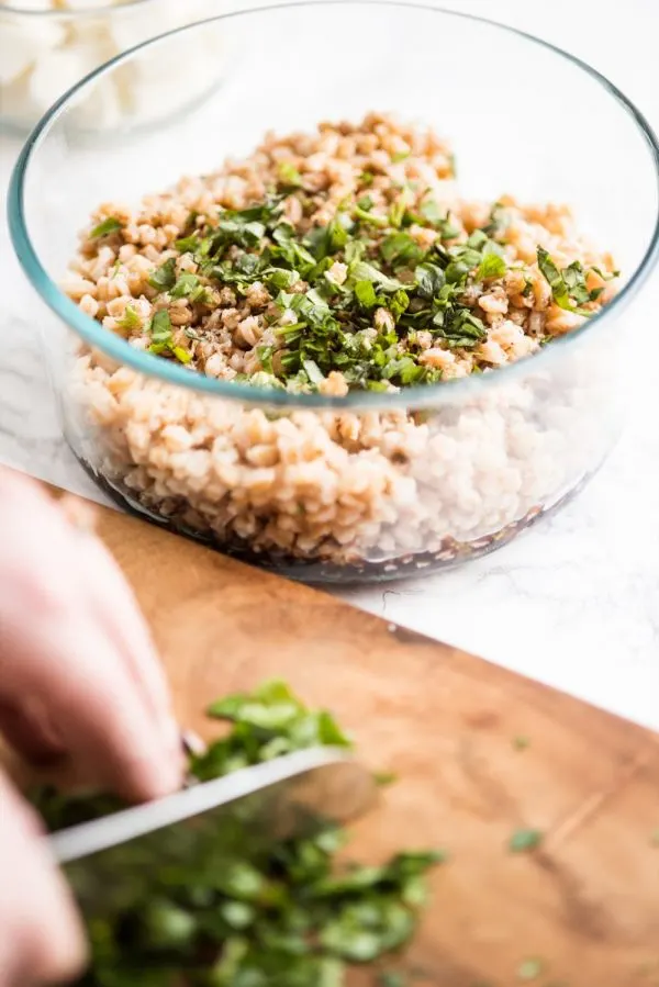 Tomato + Farro Mozzarella Salad Recipe | Healthy vegetarian recipes, weeknight dinner ideas and more from @cydconverse