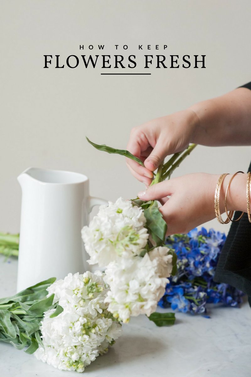 how-long-do-fresh-flowers-last-without-water-pic-winkle