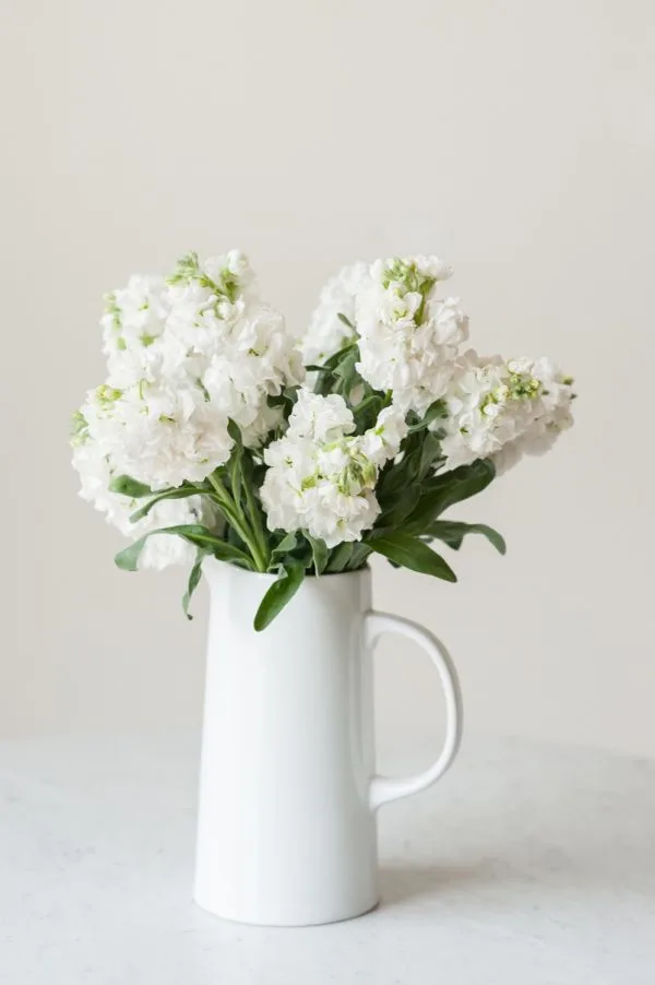 How to Keep Flowers Fresh | Tips for keeping cut flowers fresh longer plus entertaining tips, recipes, party ideas and more from @cydconverse