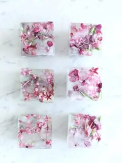 DIY Pink Floral Ice Cubes | Summer entertaining, summer party ideas and more from @cydconverse