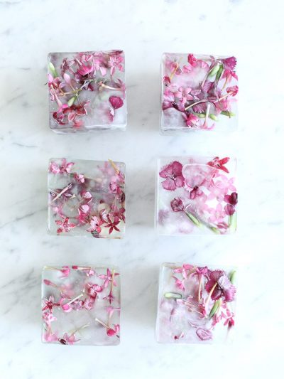 10 Unexpectedly Refreshing Ways to Dress Up Your Ice Cubes for Summer thumbnail