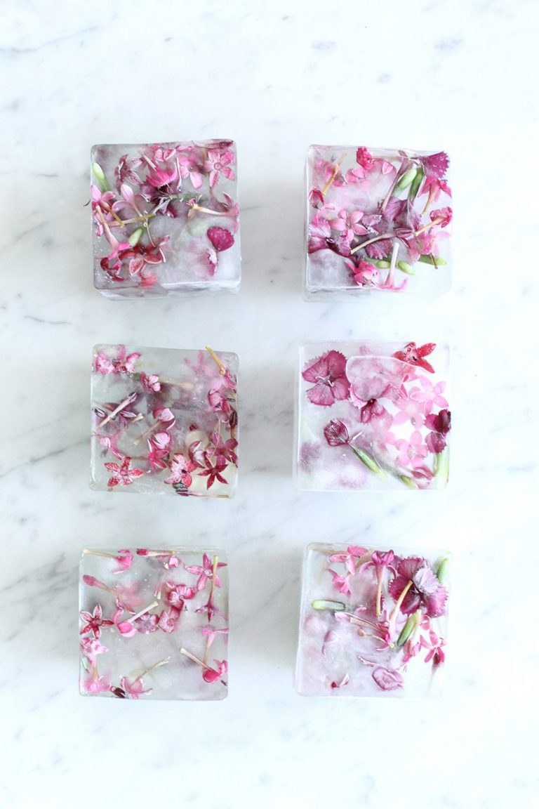 10 Unexpectedly Refreshing Ways to Dress Up Your Ice Cubes for Summer