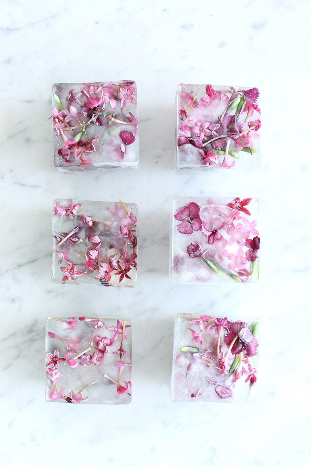 https://thesweetestoccasion.com/wp-content/uploads/2017/06/floral-ice-cubes.jpg