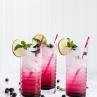 Make Mine a Blueberry Mojito