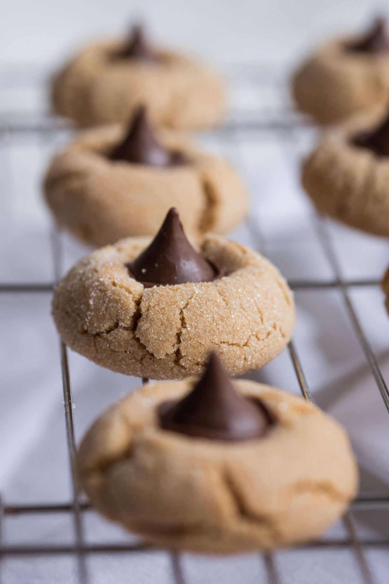 The Best Peanut Butter Blossoms Recipe | Christmas cookie recipes, Christmas cocktail recipes, entertaining tips, holiday party ideas and more from @cydconverse